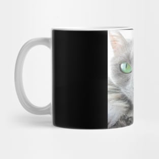 Stunning green eyed grey cat Mug